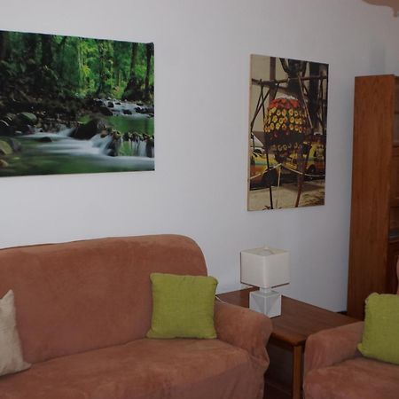 !Your Home In Madeira ฟุงชาล ภายนอก รูปภาพ