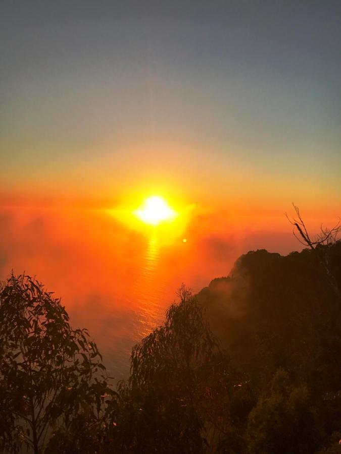 !Your Home In Madeira ฟุงชาล ภายนอก รูปภาพ