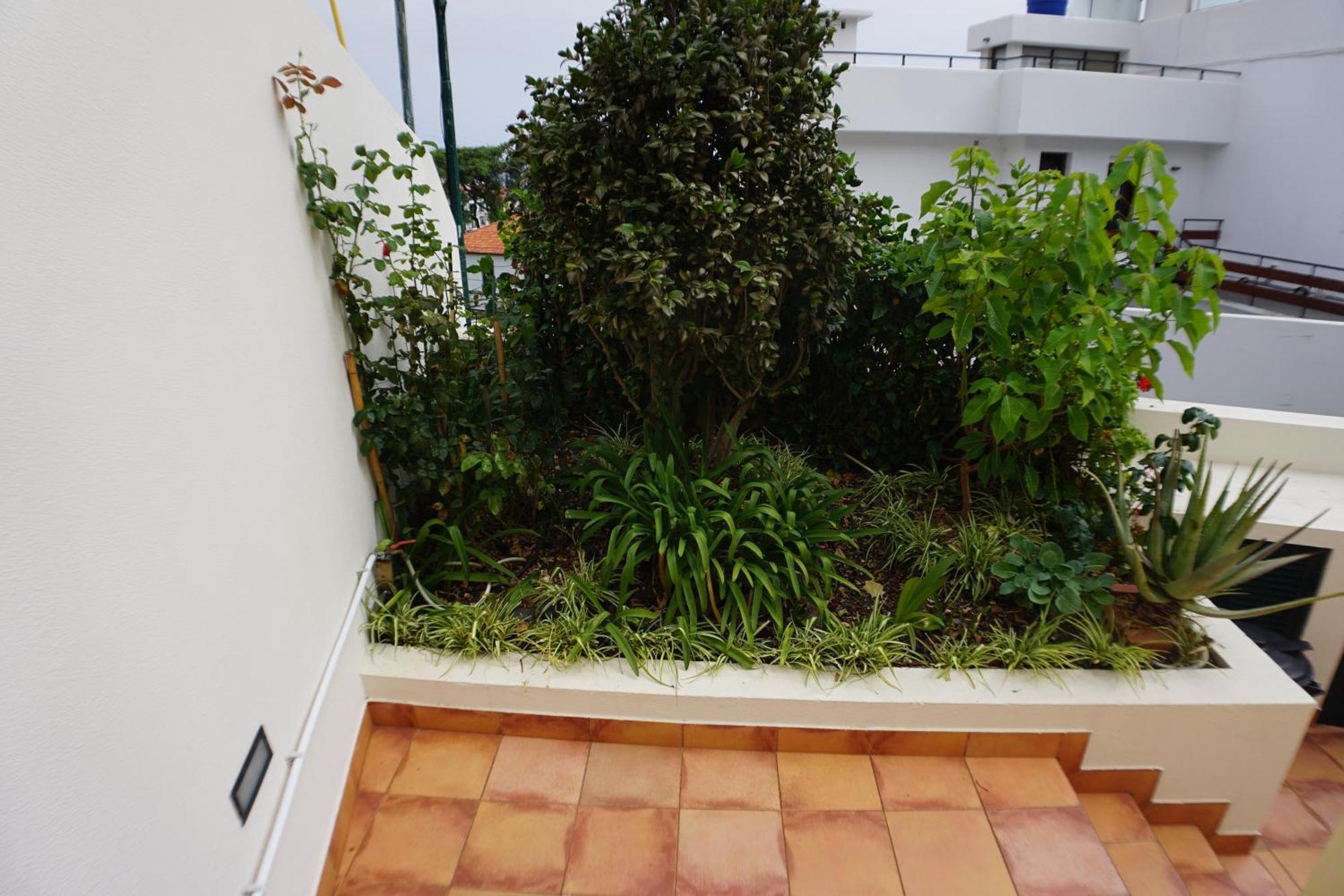 !Your Home In Madeira ฟุงชาล ภายนอก รูปภาพ
